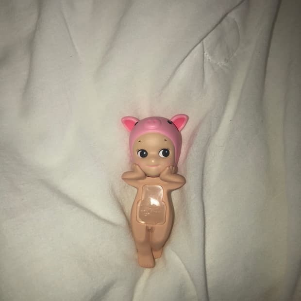 소니엔젤 히퍼 돼지