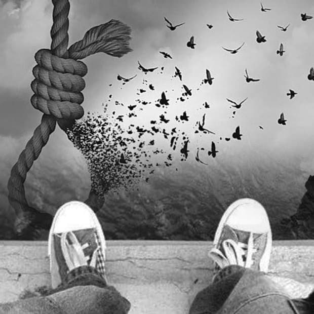 코이세이오038 하남 스타필드 대리구매 해주실 분