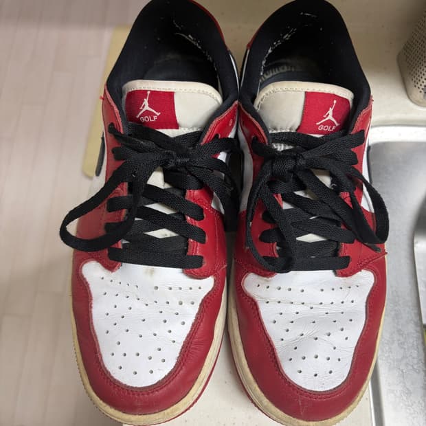 조던1 골프 시카고 260