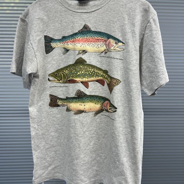 USA TRout - M