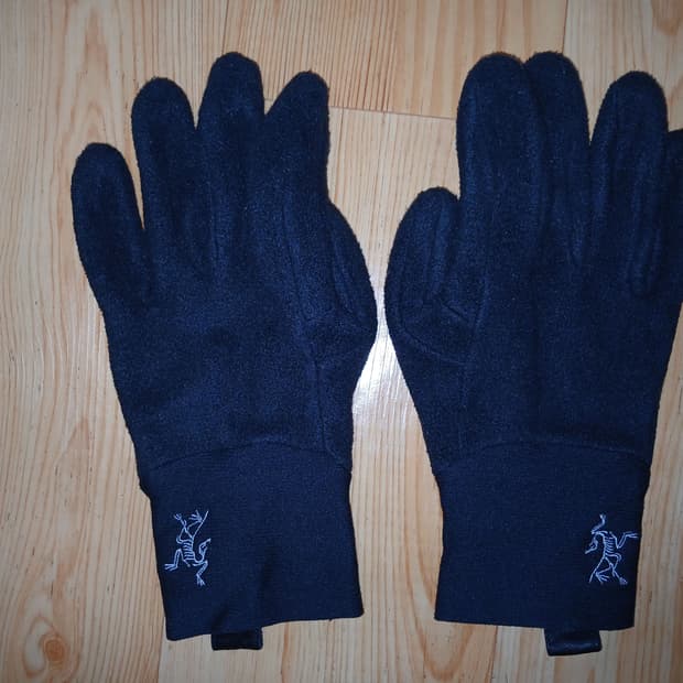아크테릭스 델타 AR 글러브 (Delta AR Glove)