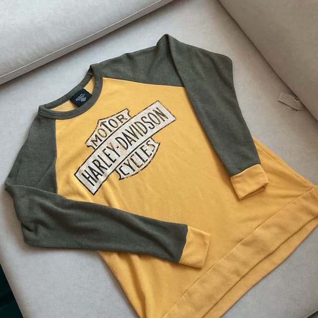 harley-davidson sweatshirt (made in usa)