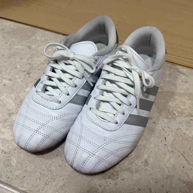 아디다스 태권도화