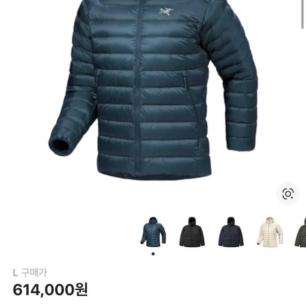 (새상품L)아크테릭스 세륨 나이트스케이프