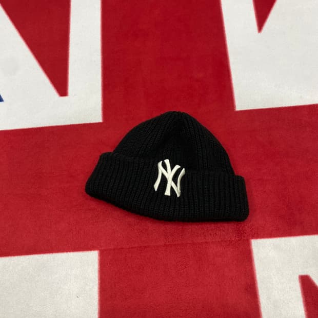 MLB 뉴욕양키즈비니 free