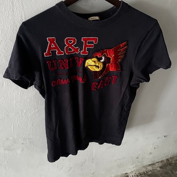 Abercrombie & Fitch 자수 그래픽 반팔 티셔츠