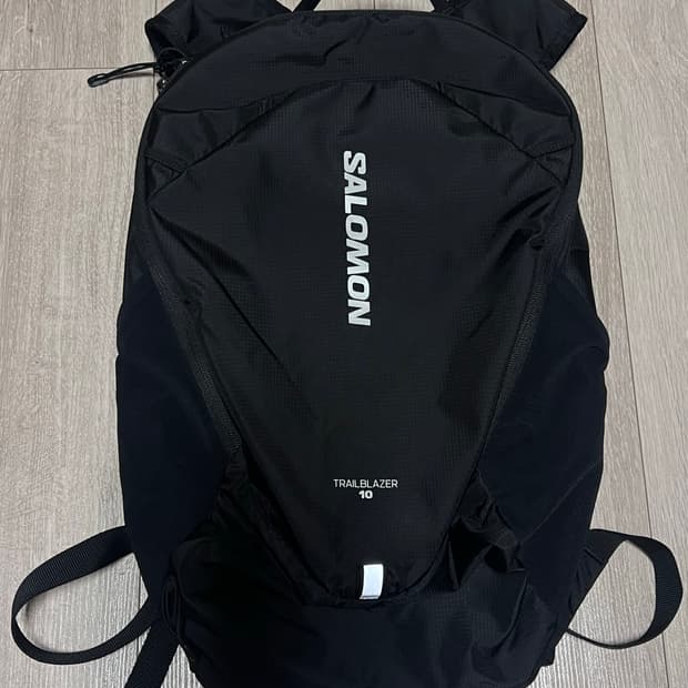 살로몬 트레일블레이저 10