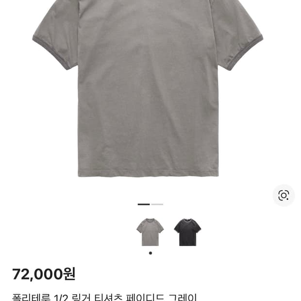 폴리테루 링거티 그레이2