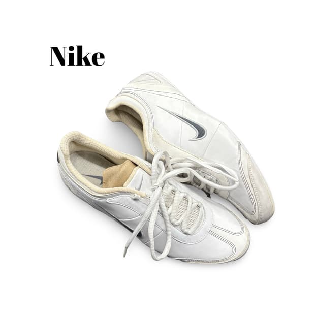 (245)나이키알렉시