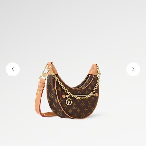 루이비통 루프 호보백