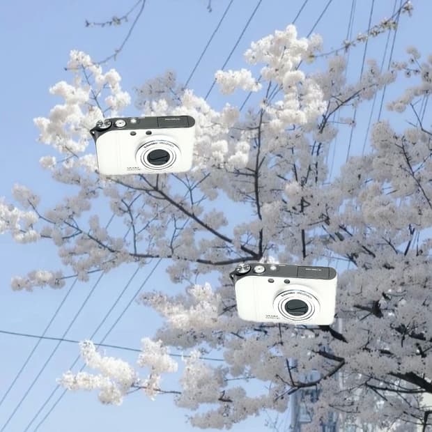 입문&희귀!)Schneider x Samsung NV100 디카 카메라