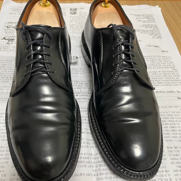 alden 알든 9901 코도반 베리라스트 더비슈즈 8, E, 260~2