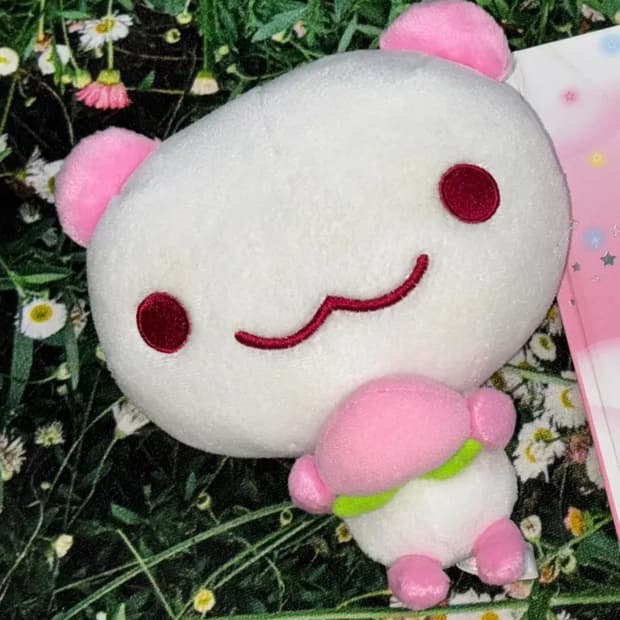 모모판다 인형 고전문구