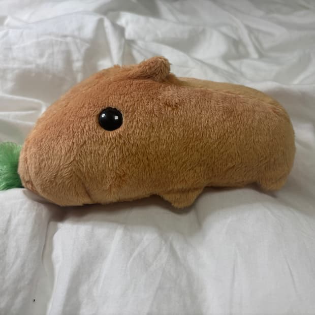 잡초 카피바라상 ! (작동 확인 X)