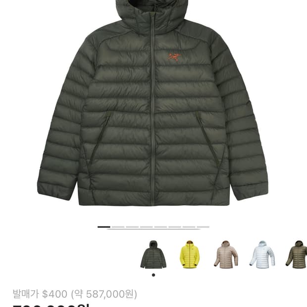 구매- 아크테릭스 세륨 후디