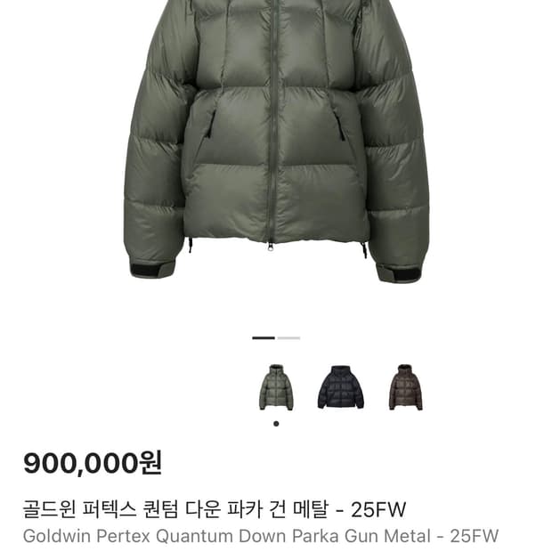 골드윈 Goldwin 퍼텍스 퀀텀 건 메탈 4사이즈