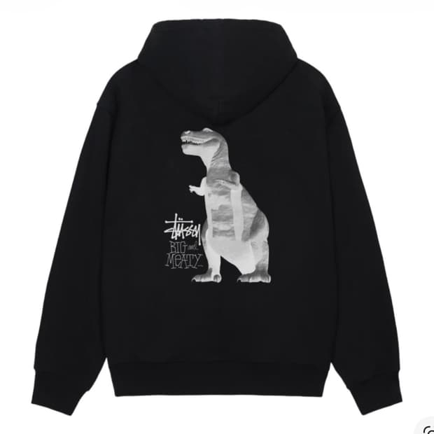 스투시 빅앤미티 후드집업 L