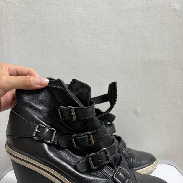 Ash 아쉬 하이탑