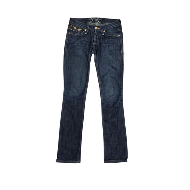Robins Jeans 로빈스 진 y2k 골드윙 로우라이즈 데님