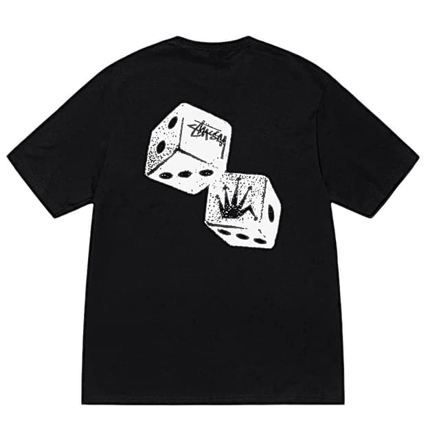 스투시 쉐이커티