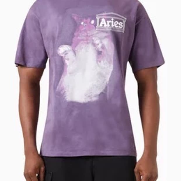 Aries catseyes 반팔 퍼플 L