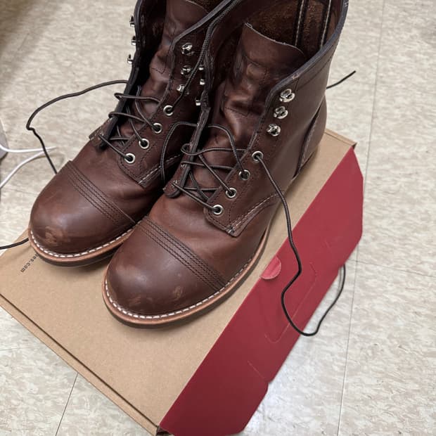 레드윙 아렌 8111 엠버하니스 260