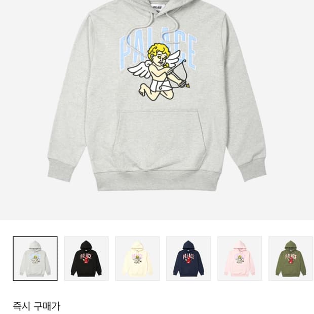 팔라스 템테이션 후드 라지 중고