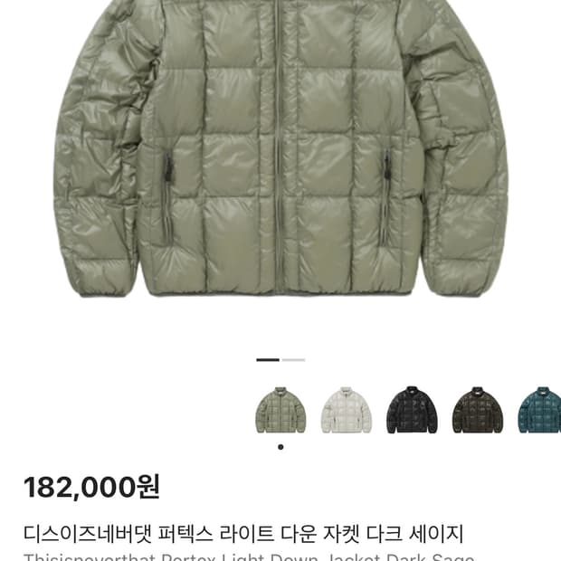 디스이즈네버댓 25fw 라이트다운 경량패딩 S