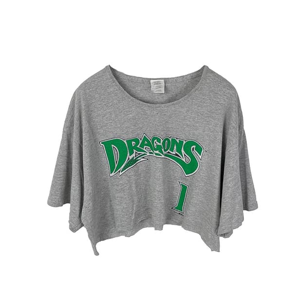 Dragons crop t-shirt