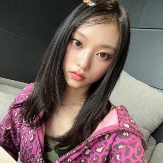 베이프 후드집업 해린 착용