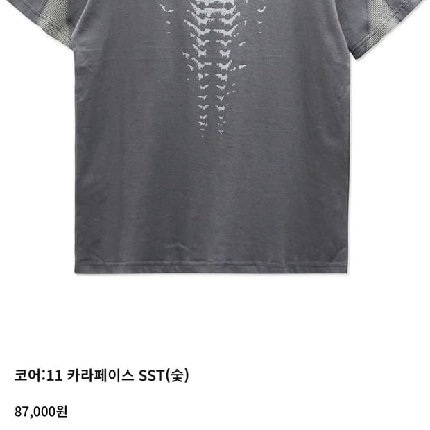 이그노타 코어:11 카라페이스