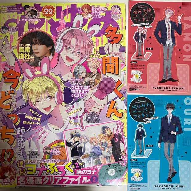 하나또유메)부록 없음) 타몬군 지금 어느 쪽)종이 피규어 2세트