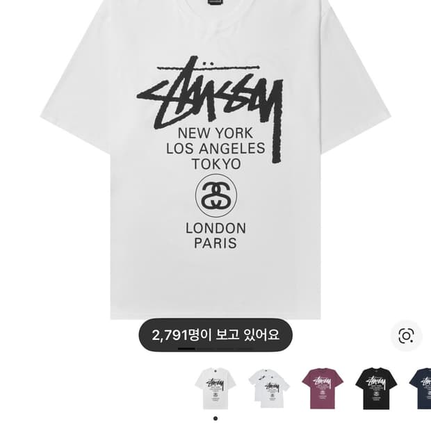 스투시 월드투어 2024,2025 L