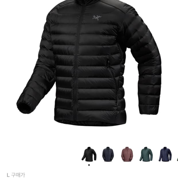 [M] 아크테릭스 세륨 자켓 블랙 새상품