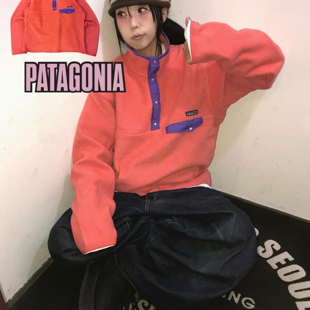 90s Patagonia Synchilla Fleece Pullove