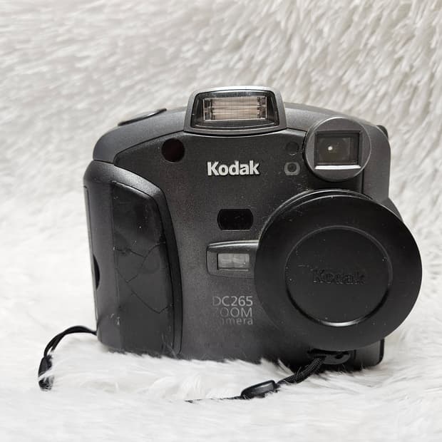 [C급] 코닥 DC290 Zoom 디카, 디지털카메라, 빈티지 판매