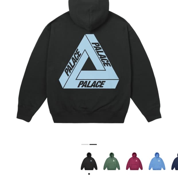 팔라스 트라이퍼그 후드 블랙 - 25FW (M)