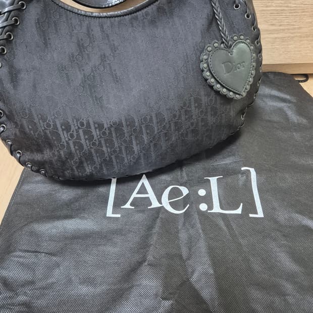 디올 오블리크 트로터 발레리나 코르셋 숄더백