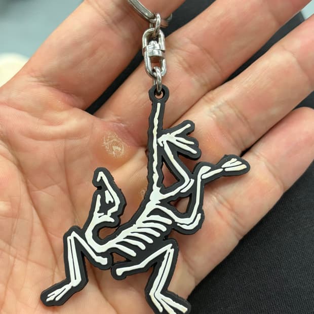 아크테릭스 고무키링