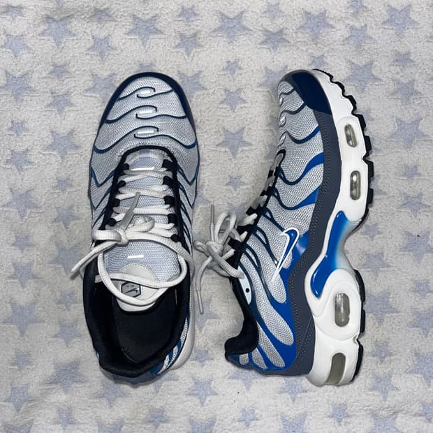 나이키 에어맥스 플러스 250