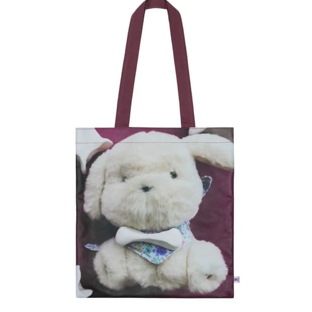 코이세이오 오후백