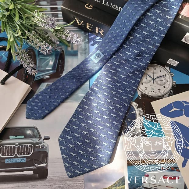베르사체 실크 그리스 키&대형견 넥타이 8.9cm B등급 A19040
