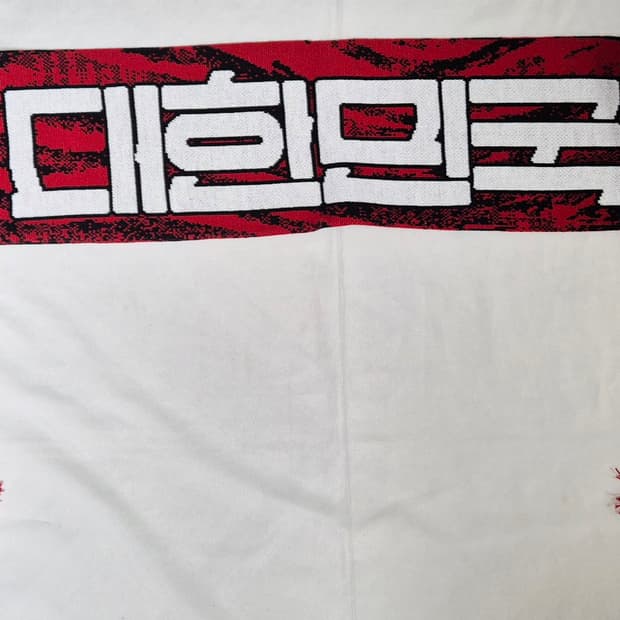 대한민국 국대 머플러 팝니다