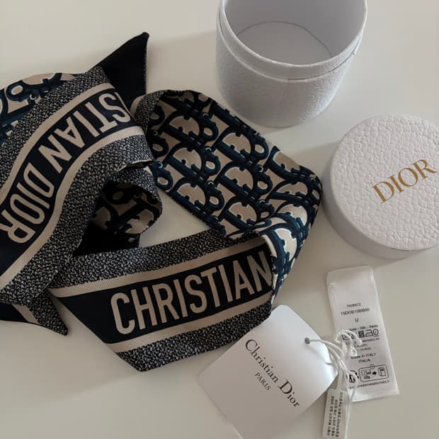 디올 오블리크 스카프