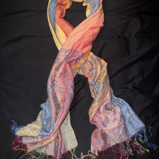 vtg Paisley Pashmina fringe Stole