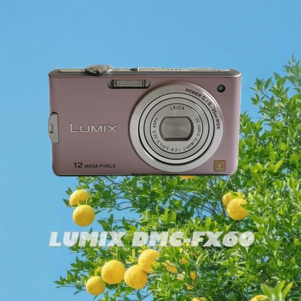 루믹스 DMC-FX60