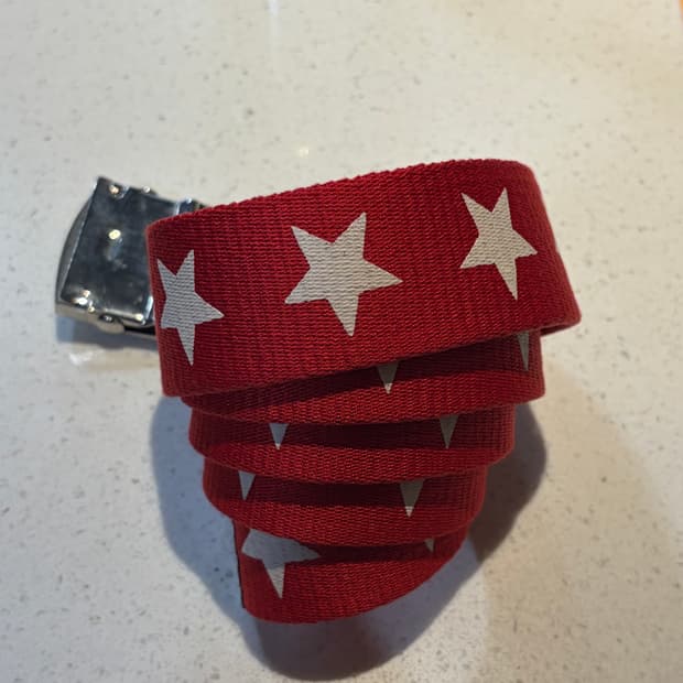  90-00s 올드 스투시 old stusdy 스타 로고 웹 벨트 