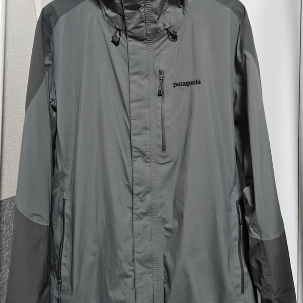 [L] Patagonia Piolet Gore-tex Jacket