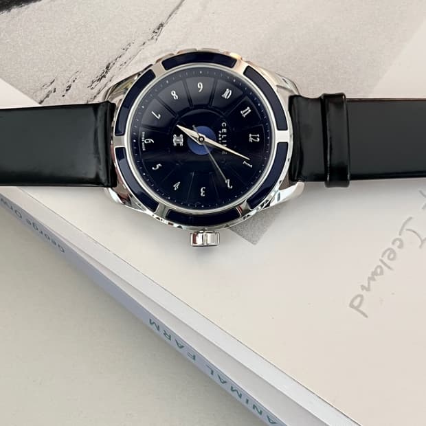 셀린느 트리옹프 남성 시계 / 정품감정 . 케어