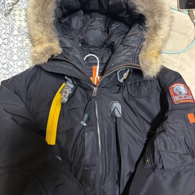 파라점퍼스 고비